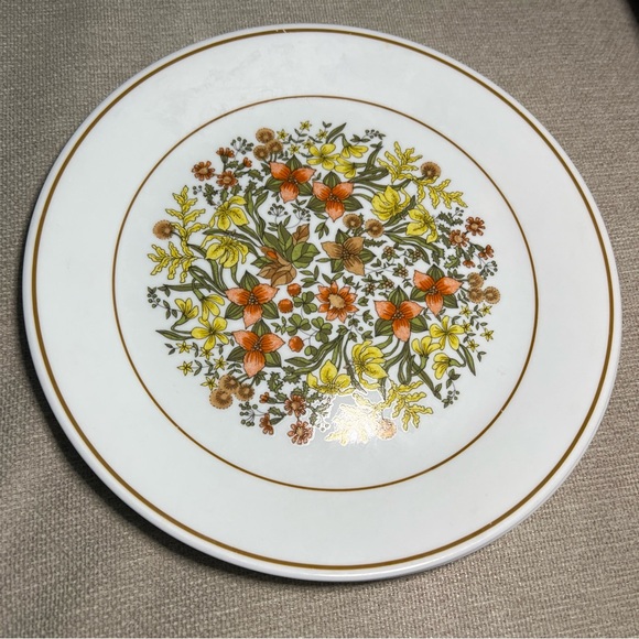 Lot Of 2 Vintage Corelle 10 1/4" INDIAN SUMMER Dinner Plates - Picture 4 of 6